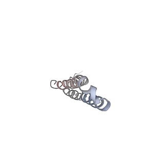 10467_6tdu_BO_v1-0
Cryo-EM structure of Euglena gracilis mitochondrial ATP synthase, full dimer, rotational states 1