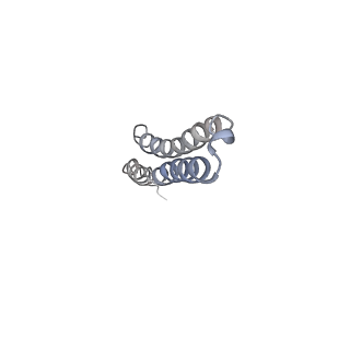 10467_6tdu_BQ_v1-0
Cryo-EM structure of Euglena gracilis mitochondrial ATP synthase, full dimer, rotational states 1
