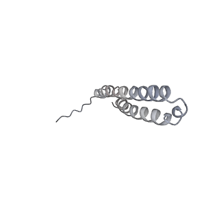 10467_6tdu_BT_v1-0
Cryo-EM structure of Euglena gracilis mitochondrial ATP synthase, full dimer, rotational states 1
