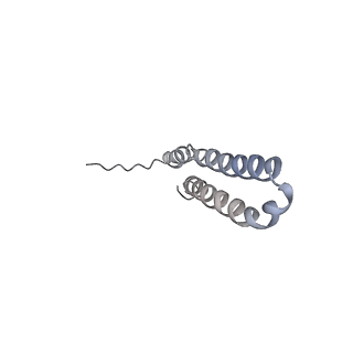 10467_6tdu_BU_v1-0
Cryo-EM structure of Euglena gracilis mitochondrial ATP synthase, full dimer, rotational states 1