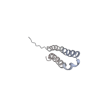 10467_6tdu_BV_v1-0
Cryo-EM structure of Euglena gracilis mitochondrial ATP synthase, full dimer, rotational states 1