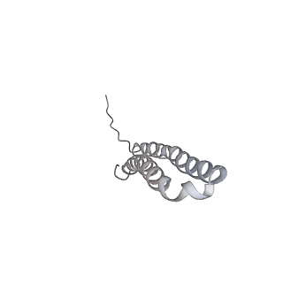 10467_6tdu_BW_v1-0
Cryo-EM structure of Euglena gracilis mitochondrial ATP synthase, full dimer, rotational states 1