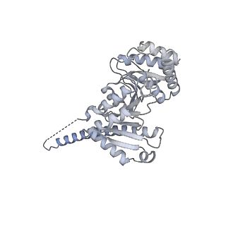 10467_6tdu_B_v1-0
Cryo-EM structure of Euglena gracilis mitochondrial ATP synthase, full dimer, rotational states 1