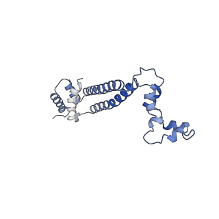 10467_6tdu_D_v1-0
Cryo-EM structure of Euglena gracilis mitochondrial ATP synthase, full dimer, rotational states 1