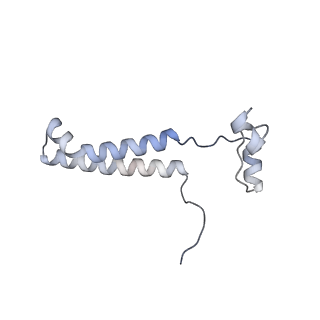 10467_6tdu_E_v1-0
Cryo-EM structure of Euglena gracilis mitochondrial ATP synthase, full dimer, rotational states 1