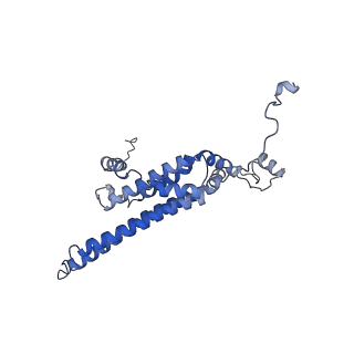 10467_6tdu_F_v1-0
Cryo-EM structure of Euglena gracilis mitochondrial ATP synthase, full dimer, rotational states 1