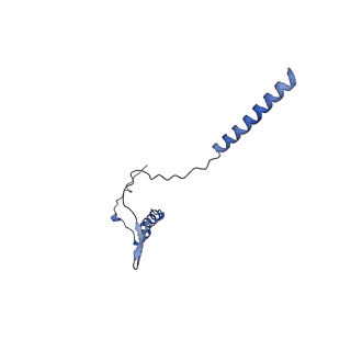 10467_6tdu_G_v1-0
Cryo-EM structure of Euglena gracilis mitochondrial ATP synthase, full dimer, rotational states 1