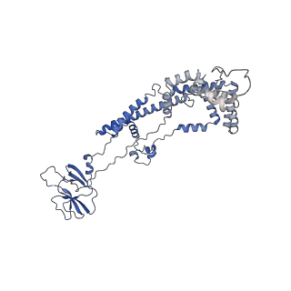 10467_6tdu_H_v1-0
Cryo-EM structure of Euglena gracilis mitochondrial ATP synthase, full dimer, rotational states 1