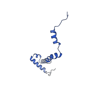 10467_6tdu_I_v1-0
Cryo-EM structure of Euglena gracilis mitochondrial ATP synthase, full dimer, rotational states 1