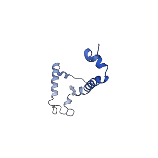 10467_6tdu_J_v1-0
Cryo-EM structure of Euglena gracilis mitochondrial ATP synthase, full dimer, rotational states 1