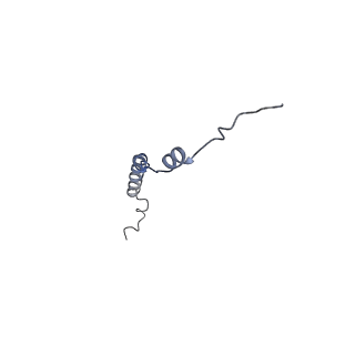 10467_6tdu_L_v1-0
Cryo-EM structure of Euglena gracilis mitochondrial ATP synthase, full dimer, rotational states 1