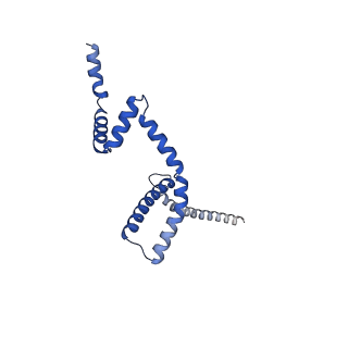 10467_6tdu_M_v1-0
Cryo-EM structure of Euglena gracilis mitochondrial ATP synthase, full dimer, rotational states 1