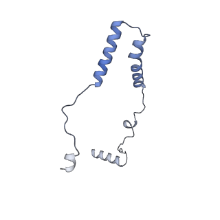 10467_6tdu_O_v1-0
Cryo-EM structure of Euglena gracilis mitochondrial ATP synthase, full dimer, rotational states 1