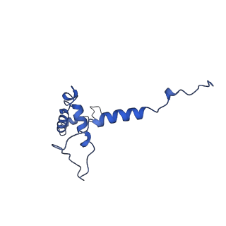 10467_6tdu_P_v1-0
Cryo-EM structure of Euglena gracilis mitochondrial ATP synthase, full dimer, rotational states 1