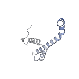 10467_6tdu_Q_v1-0
Cryo-EM structure of Euglena gracilis mitochondrial ATP synthase, full dimer, rotational states 1