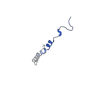 10467_6tdu_S_v1-0
Cryo-EM structure of Euglena gracilis mitochondrial ATP synthase, full dimer, rotational states 1