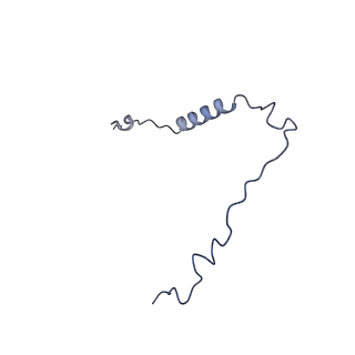 10467_6tdu_T_v1-0
Cryo-EM structure of Euglena gracilis mitochondrial ATP synthase, full dimer, rotational states 1