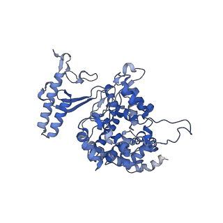 10467_6tdu_a_v1-0
Cryo-EM structure of Euglena gracilis mitochondrial ATP synthase, full dimer, rotational states 1