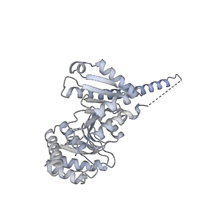 10467_6tdu_b_v1-0
Cryo-EM structure of Euglena gracilis mitochondrial ATP synthase, full dimer, rotational states 1