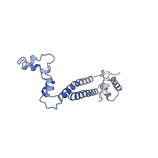 10467_6tdu_d_v1-0
Cryo-EM structure of Euglena gracilis mitochondrial ATP synthase, full dimer, rotational states 1