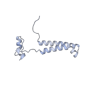 10467_6tdu_e_v1-0
Cryo-EM structure of Euglena gracilis mitochondrial ATP synthase, full dimer, rotational states 1