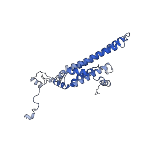 10467_6tdu_f_v1-0
Cryo-EM structure of Euglena gracilis mitochondrial ATP synthase, full dimer, rotational states 1