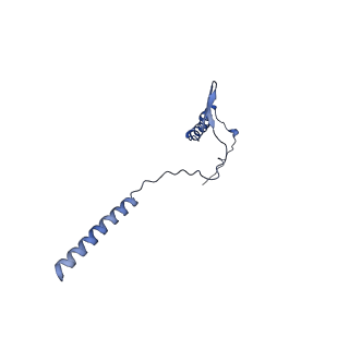 10467_6tdu_g_v1-0
Cryo-EM structure of Euglena gracilis mitochondrial ATP synthase, full dimer, rotational states 1