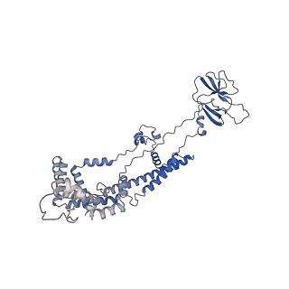 10467_6tdu_h_v1-0
Cryo-EM structure of Euglena gracilis mitochondrial ATP synthase, full dimer, rotational states 1