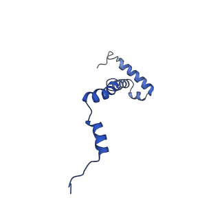 10467_6tdu_i_v1-0
Cryo-EM structure of Euglena gracilis mitochondrial ATP synthase, full dimer, rotational states 1