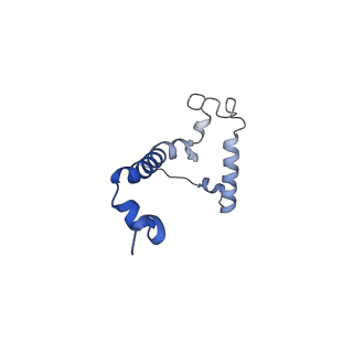 10467_6tdu_j_v1-0
Cryo-EM structure of Euglena gracilis mitochondrial ATP synthase, full dimer, rotational states 1