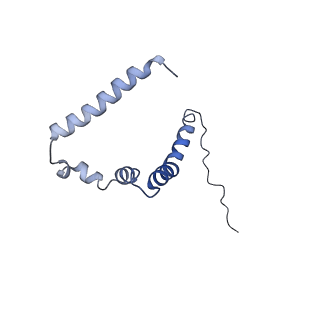 10467_6tdu_k_v1-0
Cryo-EM structure of Euglena gracilis mitochondrial ATP synthase, full dimer, rotational states 1