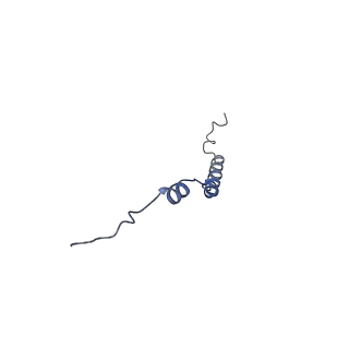10467_6tdu_l_v1-0
Cryo-EM structure of Euglena gracilis mitochondrial ATP synthase, full dimer, rotational states 1