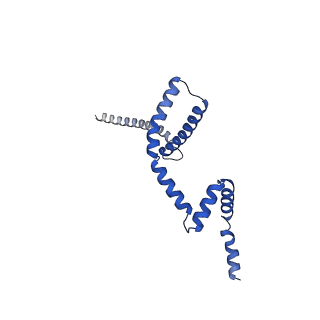 10467_6tdu_m_v1-0
Cryo-EM structure of Euglena gracilis mitochondrial ATP synthase, full dimer, rotational states 1