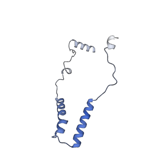 10467_6tdu_o_v1-0
Cryo-EM structure of Euglena gracilis mitochondrial ATP synthase, full dimer, rotational states 1