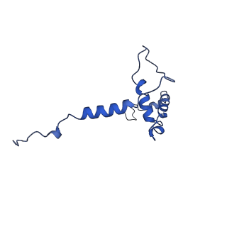 10467_6tdu_p_v1-0
Cryo-EM structure of Euglena gracilis mitochondrial ATP synthase, full dimer, rotational states 1