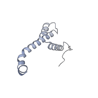 10467_6tdu_q_v1-0
Cryo-EM structure of Euglena gracilis mitochondrial ATP synthase, full dimer, rotational states 1
