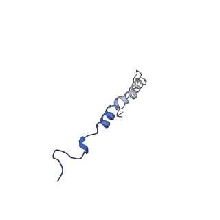 10467_6tdu_s_v1-0
Cryo-EM structure of Euglena gracilis mitochondrial ATP synthase, full dimer, rotational states 1