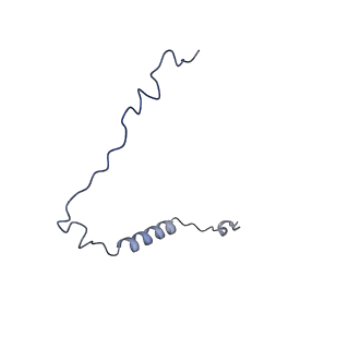 10467_6tdu_t_v1-0
Cryo-EM structure of Euglena gracilis mitochondrial ATP synthase, full dimer, rotational states 1