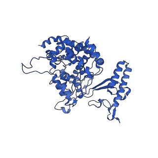 10468_6tdv_A_v1-0
Cryo-EM structure of Euglena gracilis mitochondrial ATP synthase, membrane region