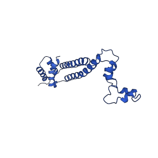 10468_6tdv_D_v1-0
Cryo-EM structure of Euglena gracilis mitochondrial ATP synthase, membrane region
