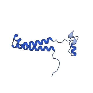 10468_6tdv_E_v1-0
Cryo-EM structure of Euglena gracilis mitochondrial ATP synthase, membrane region