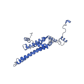 10468_6tdv_F_v1-0
Cryo-EM structure of Euglena gracilis mitochondrial ATP synthase, membrane region