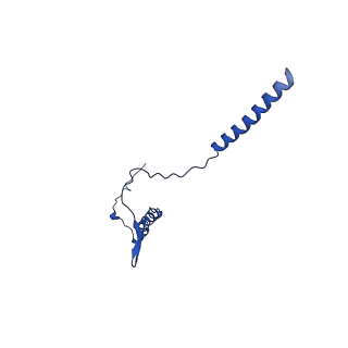 10468_6tdv_G_v1-0
Cryo-EM structure of Euglena gracilis mitochondrial ATP synthase, membrane region