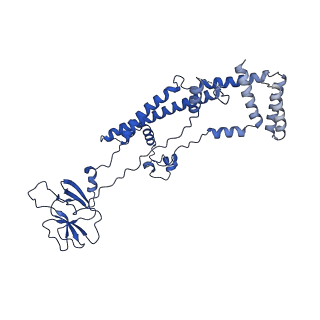 10468_6tdv_H_v1-0
Cryo-EM structure of Euglena gracilis mitochondrial ATP synthase, membrane region