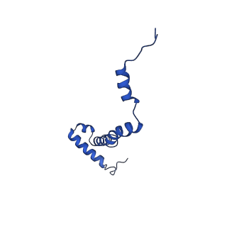 10468_6tdv_I_v1-0
Cryo-EM structure of Euglena gracilis mitochondrial ATP synthase, membrane region