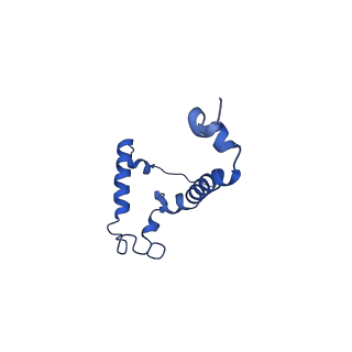 10468_6tdv_J_v1-0
Cryo-EM structure of Euglena gracilis mitochondrial ATP synthase, membrane region