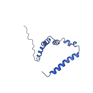 10468_6tdv_K_v1-0
Cryo-EM structure of Euglena gracilis mitochondrial ATP synthase, membrane region
