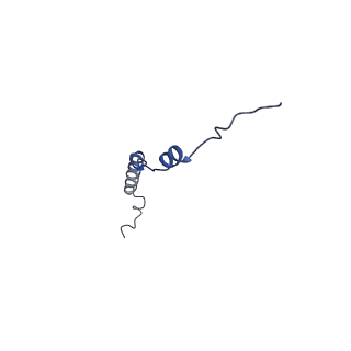 10468_6tdv_L_v1-0
Cryo-EM structure of Euglena gracilis mitochondrial ATP synthase, membrane region