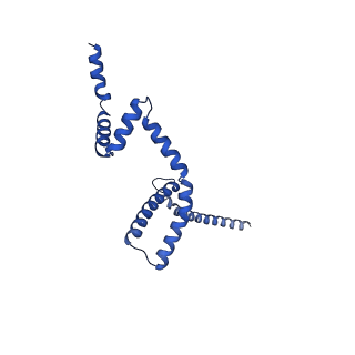 10468_6tdv_M_v1-0
Cryo-EM structure of Euglena gracilis mitochondrial ATP synthase, membrane region
