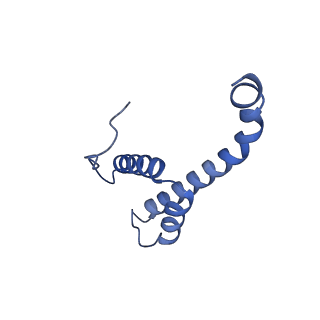 10468_6tdv_Q_v1-0
Cryo-EM structure of Euglena gracilis mitochondrial ATP synthase, membrane region